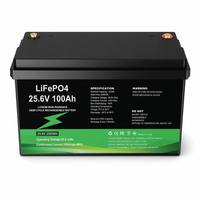Baterai LiFePO4 25.6V 100Ah 2560Wh 6000-Cycle Deep Cycle Isi Ulang dengan BMS Terintegrasi IP67 Bluetooth untuk Solar RV Marine UPS Off-Grid