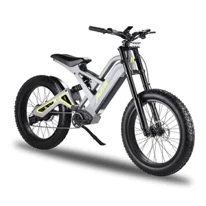 Mukuta नाइट 2 पहिया इलेक्ट्रिक बाइक 1200W 24 इंच वसा टायर ई-बाइक इलेक्ट्रिक हाइब्रिड बाइक 55Km/एच 80Km इलेक्ट्रिक साइकिल