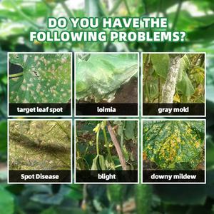 L'<span class=keywords><strong>engrais</strong></span> organique d'acide aminé améliore la qualité augmente le rendement Prévenir les maladies <span class=keywords><strong>Engrais</strong></span> organique pour la plantation de concombres - Product Image 3