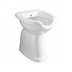 Desagüe de Pared para Bidé de 61.8 cm de Largo, 40.1 cm de Ancho y 54.1 cm de Alto para Personas con Discapacidad, Completo con Dispensador - Product Image 1