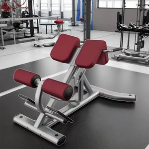 Équipement <span class=keywords><strong>de</strong></span> fitness professionnel commercial personnalisable en acier pour extensions dorsales, <span class=keywords><strong>musculation</strong></span>, réglable, pliable et sécurisé - Product Image 6