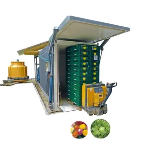 Broccoli Hydro Koeler Vacuüm Koeler Met Hydraulische Deur Met Certificering Vacuüm Koeler Vacuüm Koeling Machine Voor Groenten