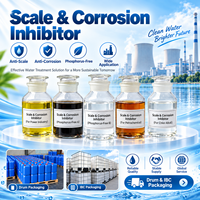Inhibiteur de calcaire liquide pour évaporateurs et systèmes de vapeur, prévient le calcaire dur CaCO3 et la silice