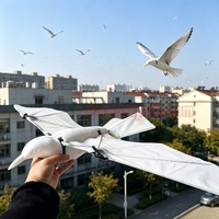 Éloigne-oiseaux extérieur en plastique solide, écologique, en forme de faucon/corbeau, répulsif et dissuasif