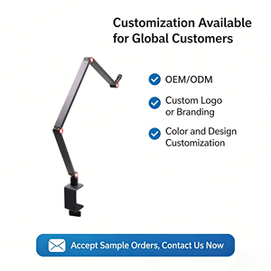 Soporte de Micrófono Profesional con Descuento por Volumen para Grabación en Estudio con Brazo Extensible para Micrófono de Condensador - Product Image 1