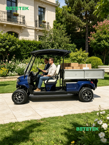 Carrito de Golf Eléctrico de 2 Plazas y 48V en Oferta, Capacidad de Subida del 20-25%, Neumáticos de 12 Pulgadas, Certificado CE/GCC/EEC para Carreteras No Públicas - Product Image 1