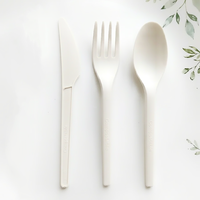 Fourchettes de dîner CPLA écologiques Greenday en gros, fournisseur pour fêtes, couverts jetables CPLA de 6 pouces, couteau, cuillère, fourchette-cuillère