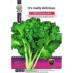 ผักสี่ฤดู อัตราการงอกสูง สำหรับกะหล่ำปลีจีน รุ่น BB436 ผลิตในจีน ขายส่งจากฟาร์มเพื่อความเจริญรุ่งเรือง - Product Image 1