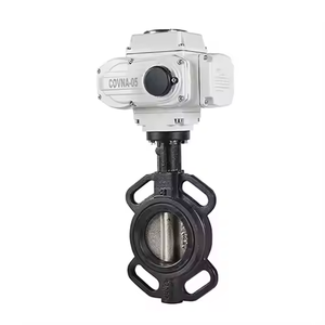Vente de liquidation B2B COVNA DN50 AC220V Réducteur d'eau électrique en fonte avec joint d'étanchéité - Product Image 4