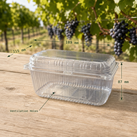 Conteneur à raisins prêts à l'emploi, capacité 1 lb, écologique, en RPET/PET recyclé, jetable, type coquille