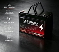 Pack de batteries solaires LiFePO4 12V 24V 100Ah 200Ah 280Ah 300Ah Batterie lithium-ion 24V