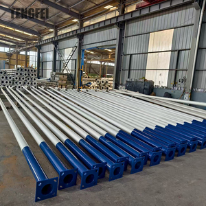 <span class=keywords><strong>Lampadaire</strong></span> personnalisé à bras unique et à bras double <span class=keywords><strong>lampadaire</strong></span> galvanisé à chaud - Product Image 3