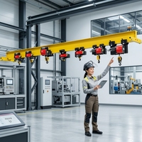 Système de palan électrique à câble monopoutre de style européen avec options multicolores pour levage industriel