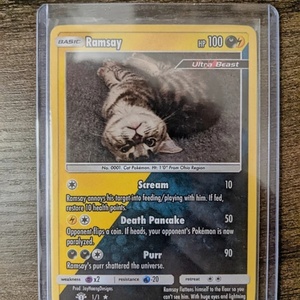 Vente en gros de boîtes de rangement pour cartes à collectionner en plastique rigide 3x4, avec protège-cartes 35Pt pour les joueurs de baseball, de football et de basketball - Product Image 4