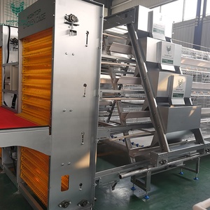 Système entièrement automatique de haute qualité ferme de volaille fil galvanisé A Type couche oeuf poulailler batterie Cages à vendre - Product Image 3