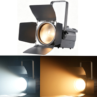 Lampu Studio Fresnel COB LED 2in1 CW WW 300W Grosir untuk Gereja, Konser, TV