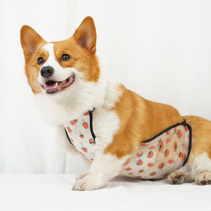 Ceinture ventrale pour chien, anti-poussière, chaude, pour grands chiens, quatre saisons, style mignon - Product Image 4