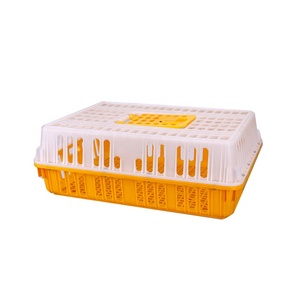 plástico <span class=keywords><strong>de</strong></span> aves <span class=keywords><strong>de</strong></span> <span class=keywords><strong>corral</strong></span> granja Animal pato capas <span class=keywords><strong>de</strong></span> <span class=keywords><strong>pollos</strong></span> <span class=keywords><strong>de</strong></span> engorde jaulas <span class=keywords><strong>de</strong></span> pollo caja casa mostrar amarillo moderna - Product Image 2