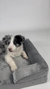 ספקים ספקים in בלתי ניתנת להריסה מלבנית אורטופדית מרגיע כלב מיטה ללעוס עמיד מיטה בגודל בינוני עם כרית סדין - Product Image 4