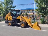 Mini Backhoe Loader 4x4, Wheel Loader Bertenaga 3,4 Ton dengan Perlengkapan Tambahan, Garansi 1 Tahun, Mesin Diesel