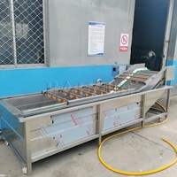 Appel- en peerreinigingsmachine met bubbels, groente- en fruitdroogmachine met bubbels