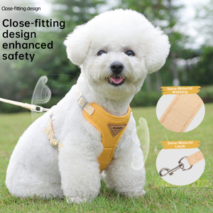 Laisse personnalisée pour chien Teddy, harnais pour chien personnalisé avec broderie, harnais de traction avant, laisse et collier pour chien, fournitures pour animaux de compagnie - Product Image 1