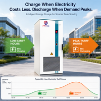 Système de stockage d'énergie solaire 120 kW 125 kW 261 kWh, commercial et industriel, avec batteries LiFePO4 241 kWh et armoire de refroidissement liquide