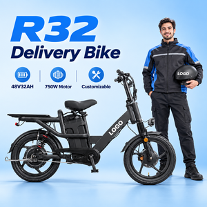 Bicicleta Eléctrica Híbrida R32 18x2.5 de Fábrica, Bicicleta Eléctrica de Carga de 750W Personalizada para Repartidores - Product Image 1