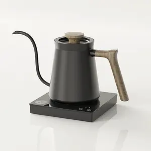 Ranbem स्थिर जल प्रवाह मैट समायोज्य तापमान काले कॉफी डालो से अधिक केतली बर्तन के साथ तापमान