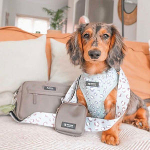 Asil düz renk özel tasarımcı kayış seyahat kılıfı baskı logonuz ile köpek bakımı çanta Crossbody köpek yürüyüş çantası - Product Image 5