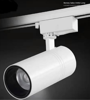 Lampu Sorot LED Cob Chip yang Dapat Disesuaikan untuk Penggunaan Komersial di Mal, Hotel, Restoran - Desain Modern Efisiensi Tinggi