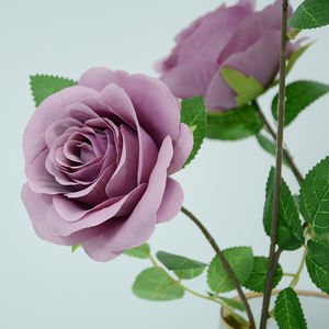 Flor artificial 3 cabezas <span class=keywords><strong>Rosa</strong></span> <span class=keywords><strong>holandesa</strong></span> <span class=keywords><strong>precio</strong></span> de fábrica boda hogar jardín restaurante decoración imitación seda <span class=keywords><strong>Rosa</strong></span> <span class=keywords><strong>holandesa</strong></span> 3 cabezas tallo - Product Image 6