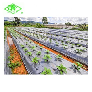 El alzamiento de temperatura requiere productos agrícolas, y los campos están cubiertos con película plástica de PE de doble color para refrigeración. - Product Image 2
