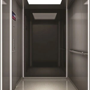 Ascensor Familiar Pequeño de Bajo Precio, Elevadores de Pasajeros de 3-10 Pisos para Villa, Ascensor Eléctrico Personalizado para el Hogar, Ascensor Residencial - Product Image 1