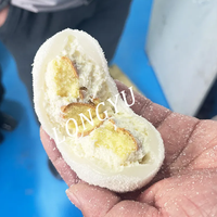 Machine de production commerciale LONGYU pour Daifuku glacé aux fraises japonaises et Mochi, équipement de formage et d'enrobage à très grande capacité
