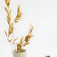 Ensemble de vases en céramique de forme ronde, finition crème mate, récipient sculptural minimaliste pour la décoration intérieure Japandi