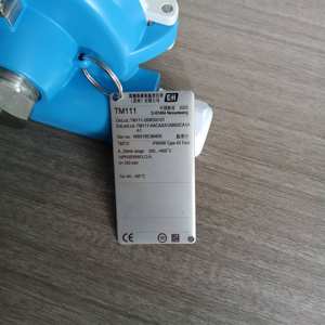 ドイツ輸入 E+H TM111 防爆型工業用温度計 PT100/<span class=keywords><strong>K</strong></span>型センサー USB OEM/ODM IP68保護 スマートアプリ対応 - Product Image 3