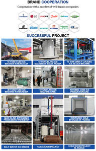 1Ton 2Ton 3Ton 5Ton 10Ton 20Ton 30Ton macchine per la produzione di ghiaccio automatico macchina per il ghiaccio fiocco utilizzato per la conservazione degli alimenti - Product Image 5