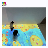 Lave d'intérieur AR Games Interactive Projection Floor Software Game Interactive Floor Projector System