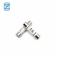 Prise britannique, fusible britannique BS1362 en céramique 13A 250V 6*25mm, haute qualité, basse tension ASTA TUV 1A-20A 6x25mm