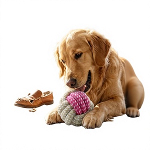 Colección de Juguetes para Mascotas al por Mayor: Nudos de Cuerda de Algodón Tejida, Bolas Pequeñas de Goma para Masticar, para Perros y Gatos, Uso en Interiores, Personalizables, Multicolor - Product Image 4