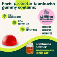 Probiotische Kombucha Prebiotica Gummies Antioxidanten Natuurlijke Gezondheid Immuun Energie Welzijn Boost Voedingssupplement Verbeterde Botten