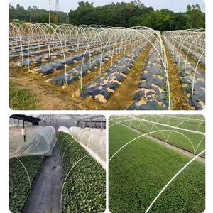 Arceau de serre en fibre de verre haute résistance avec service de découpe - Product Image 2