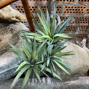 Planta Artificial de Agave Multicolor, Suculenta Tropical Artificial para Decoración del Hogar, Jardín y Paisaje - Product Image 2