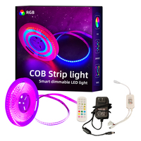 Kit de télécommande sans fil intelligent 10 mm de largeur Smd5050 60leds/M 12v 24v Bande lumineuse LED Rgb Cob