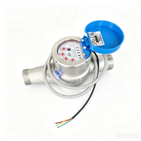 Stainless Steel DN25 Electronic Water Meter with RS485 Connectivity