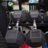 Peralatan Fitness Angkat Beban Grosir Pabrik VIGFIT, Dumbbell Baja Nyaman untuk Penggunaan di Rumah, Berat 2.5-50Kg, Dumbbell Gym