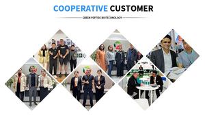 Capsules d'acétyl-L-carnitine en gros de haute qualité à prix avantageux pour améliorer l'immunité et la digestion chez les adolescents et les adultes - Product Image 5