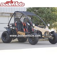 CEE route juridique 2 places 150cc buggy kart(MC-411)