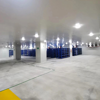 Congelador de pescado de cámara frigorífica Industrial personalizado de 20 pies, unidad de condensación de 125HP-225HP, componente de núcleo de compresor de refrigeración Industrial
